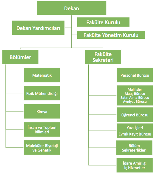 Organizasyon Yapısı